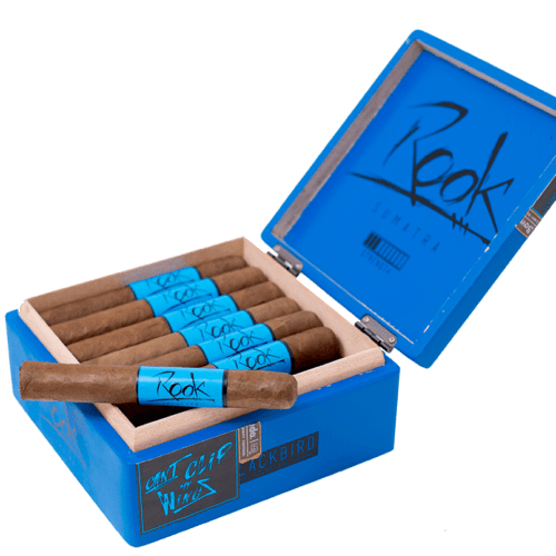 Blackbird Rook Cigar