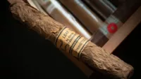 cigars in a small cigar humidor