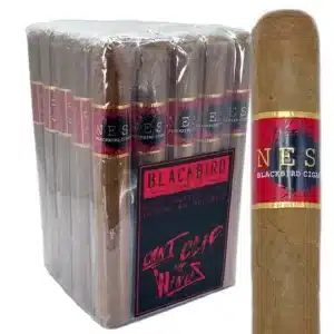 Blackbird Nest Connecticut