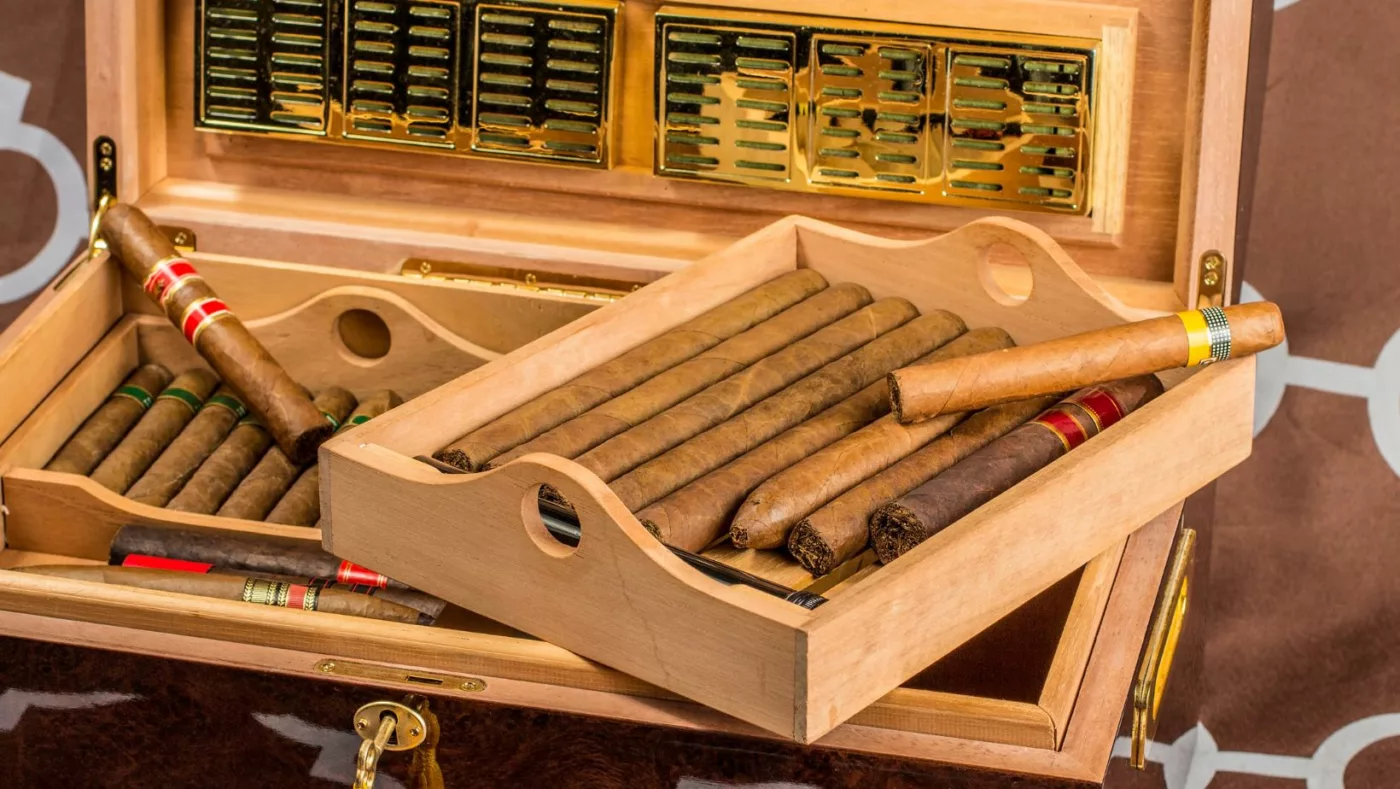 cigars stored in a humidor