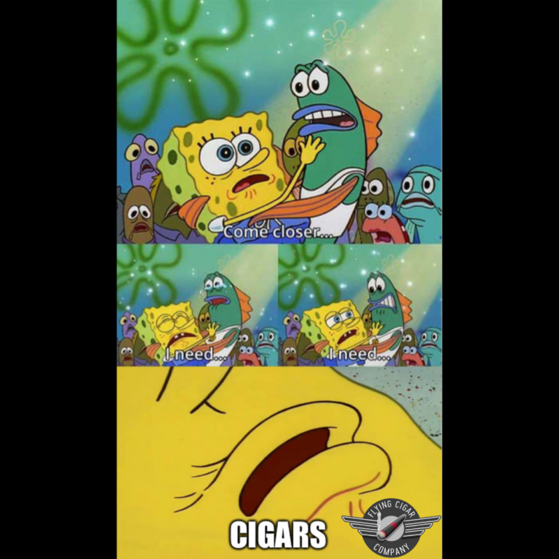 Spongebob I need cigars meme