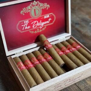 The Diligent by The Burn Down Podcast