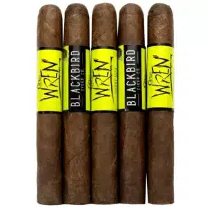Blackbird Cactus Wren 5 Pack