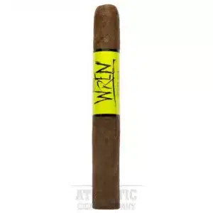 Blackbird Cactus Wren Single