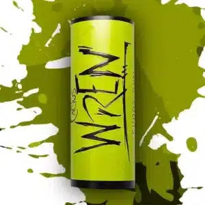 Blackbird Cactus Wren Art